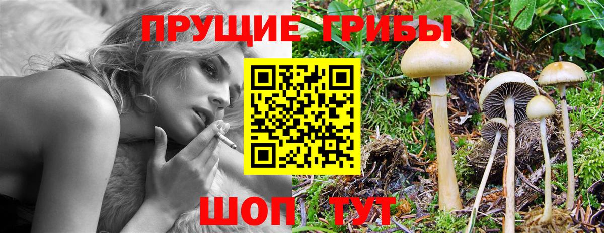 Галлюциногенные грибы мухоморы Белореченск